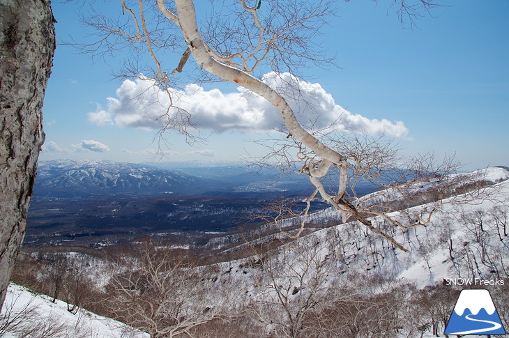 ニセコアンヌプリ国際スキー場 beautiful spring day!!